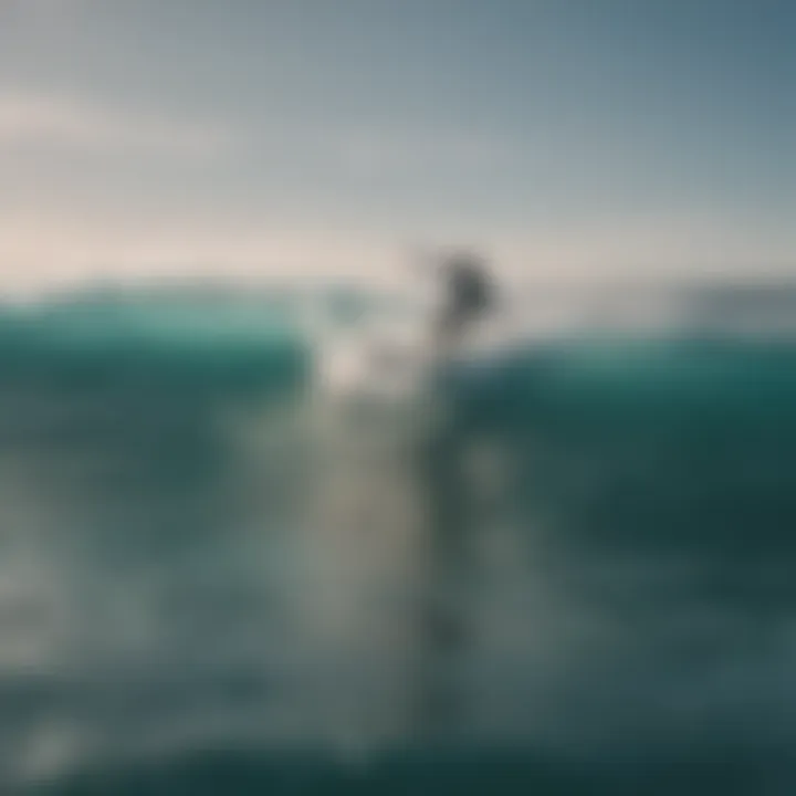 An aerial view of surfers riding hydrofoil surfboards on a picturesque ocean.