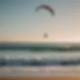 Overview of various trainer kites on the beach