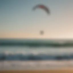 Overview of various trainer kites on the beach