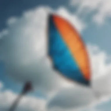 Close-up showcasing the robust material of a kite designed for gusty conditions