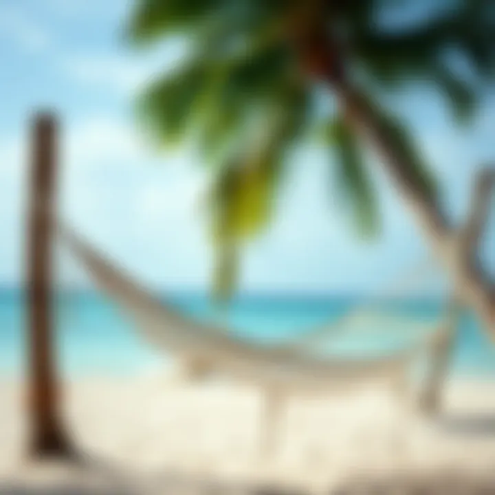 A tranquil scene of a beachfront hammock swaying gently under the palm trees, inviting relaxation.