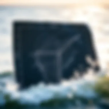 Detailed weather map indicating wind patterns