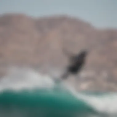 Kiteboarding on the waters of La Paz