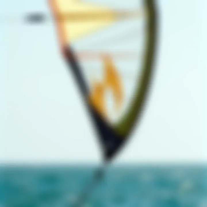 Close-up of a Cali Kite showcasing its intricate design and features