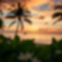Serene view of Coconut Bay Beach at sunset