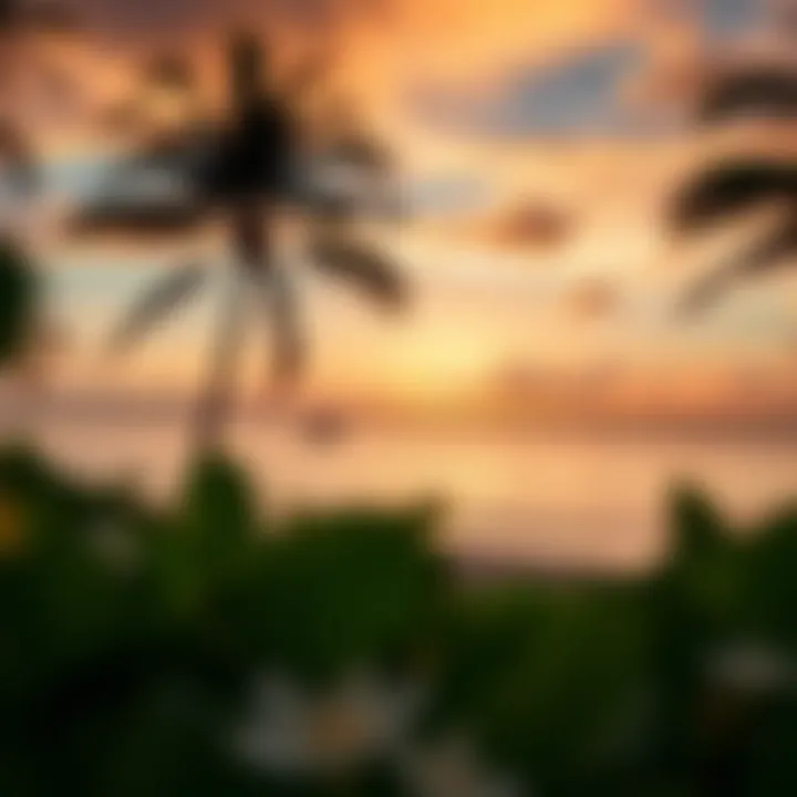 Breathtaking Sunset at Coconut Bay Beach Serene view of Coconut Bay Beach at sunset