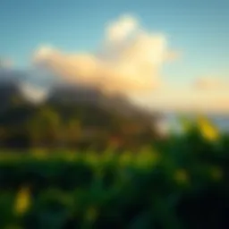 Lush tropical scenery at Coconut Bay