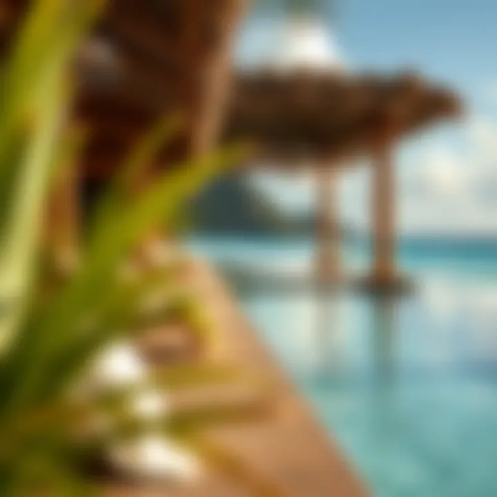 Indulge in Luxurious Spa Amenities Luxurious spa amenities at Coconut Bay