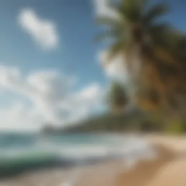 Panoramic view of Coconut Bay Beach with palm trees and clear skies