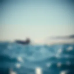 A sleek efoil gliding over water