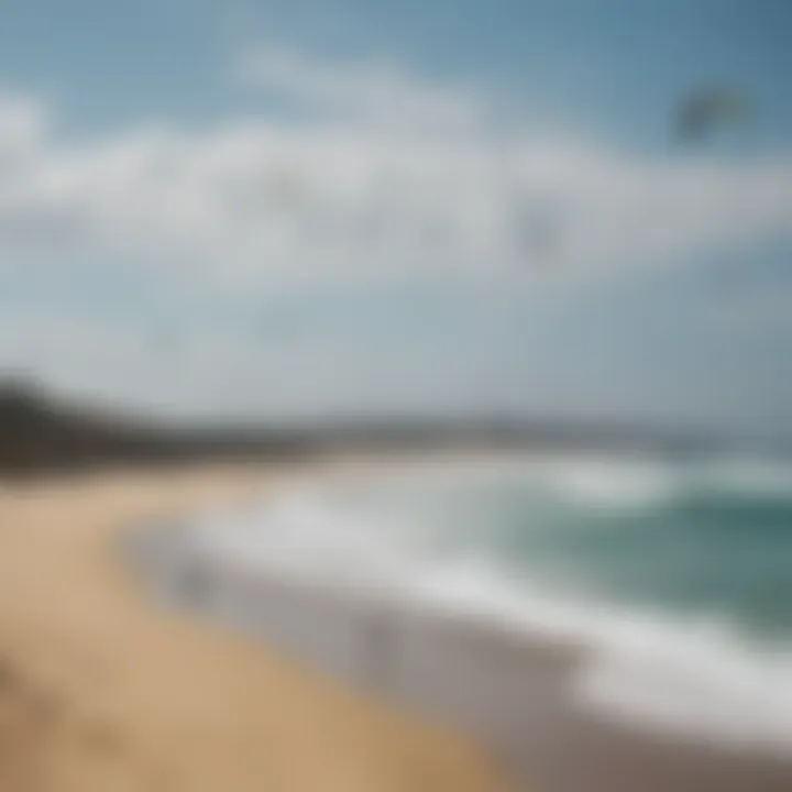 Wide shot of kiteboarders utilizing blank kites on a vibrant coastline