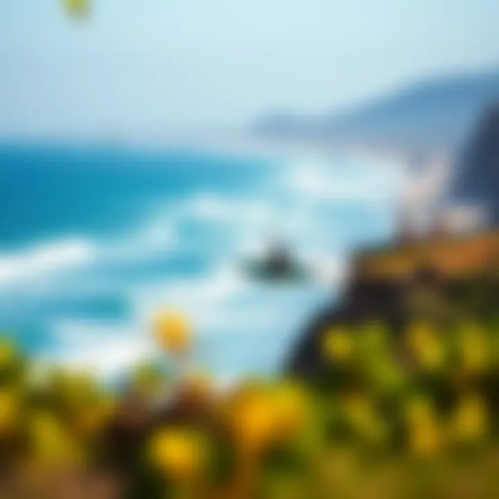 Scenic view of San Carlos coastline with kiteboarding action