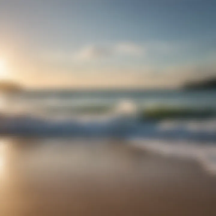 A panoramic view of Shell Point Beach, capturing the expansive shoreline and inviting waters.