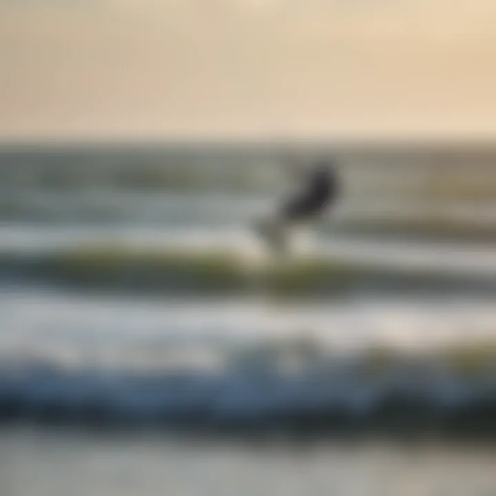 Vibrant kiteboarding action against a picturesque Texel backdrop