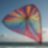 A close-up view of a high-performance foil kite showcasing its intricate design features.