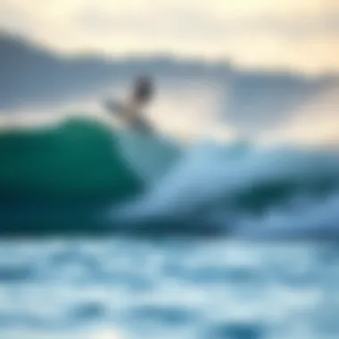 Environmental considerations of hydrofoil usage on lakes