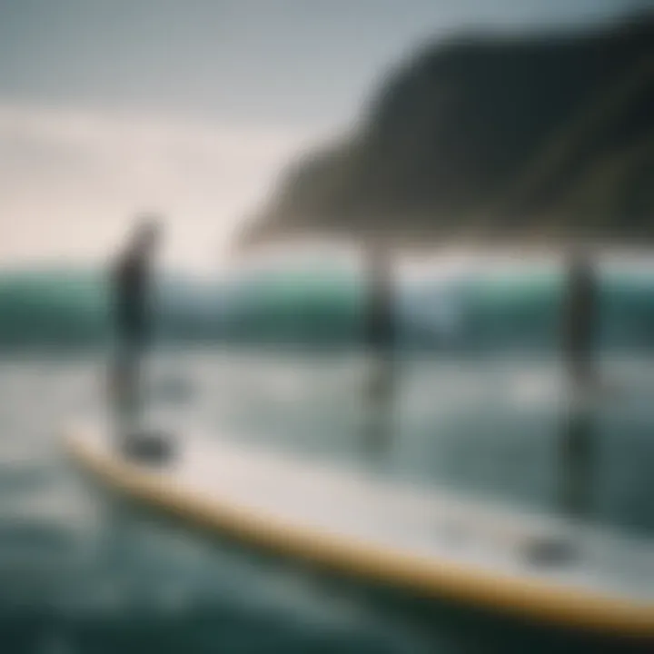 Environmental landscape with surfers enjoying the ocean on foil boards