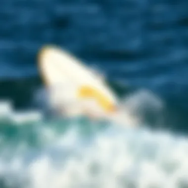 Essential Maintenance Tips for Longevity Maintenance tips for wing surf foil boards