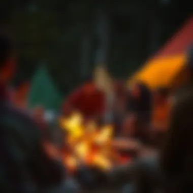 Unity in Diversity: Campfire Conversations A diverse group around a campfire sharing stories