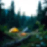 A serene campsite nestled in a lush forest