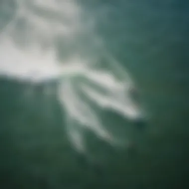 An aerial view of kiteboarders enjoying the waves