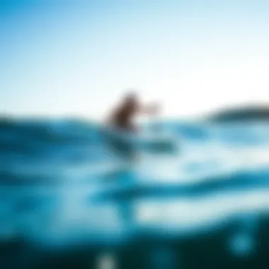 Caring for Your Inflatable SUP Foil Board Maintenance of inflatable SUP foil board