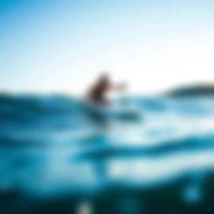 Caring for Your Inflatable SUP Foil Board Maintenance of inflatable SUP foil board