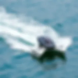 An electric hydrofoil gliding over clear waters