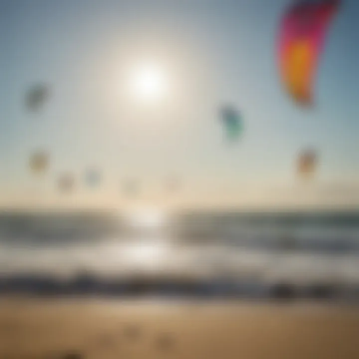 A vibrant assortment of pre-owned kitesurfing kites displayed on a beach