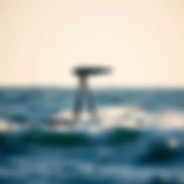 An overview of various hydrofoil types arranged for comparison