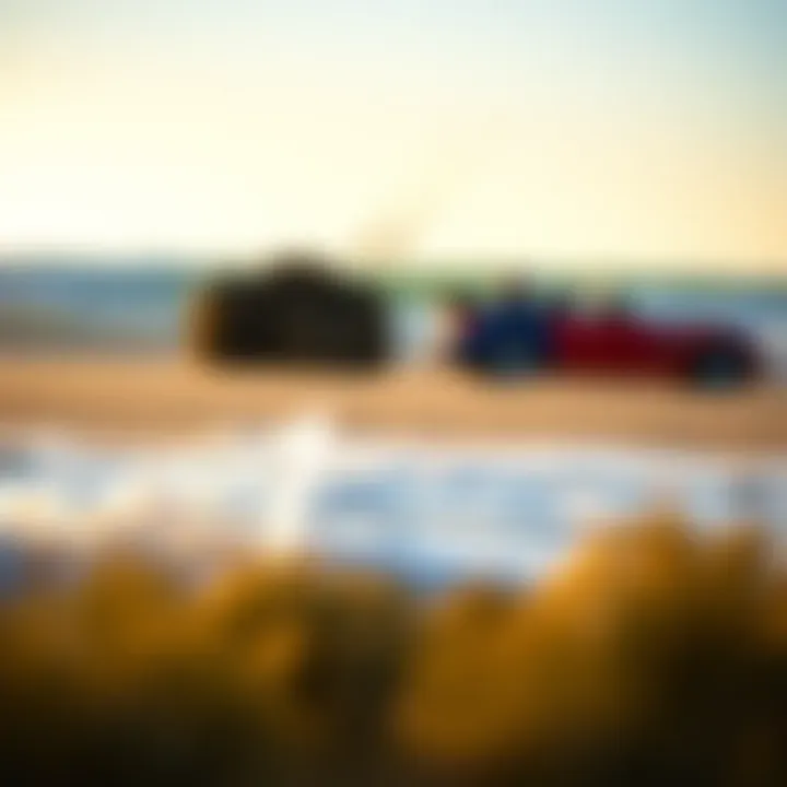 Brand Comparisons of Kite Bags Comparative view of kite bags from different brands highlighting features