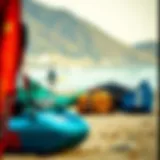 Diverse Designs and Materials of Kite Bags Selection of various kite bags showcasing different designs and materials