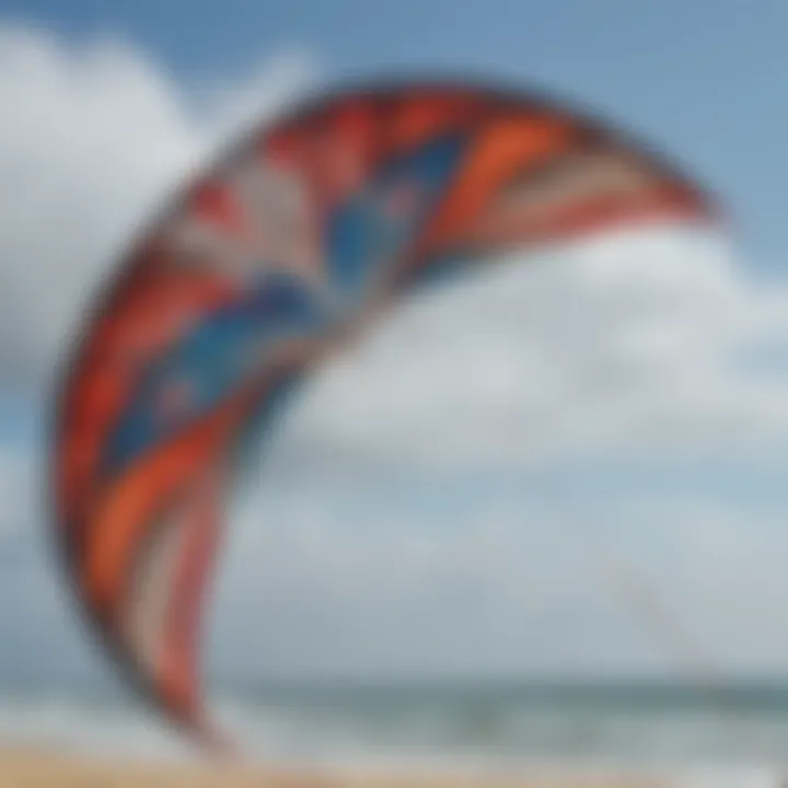 A close-up view of a trainer kite's intricate design and materials