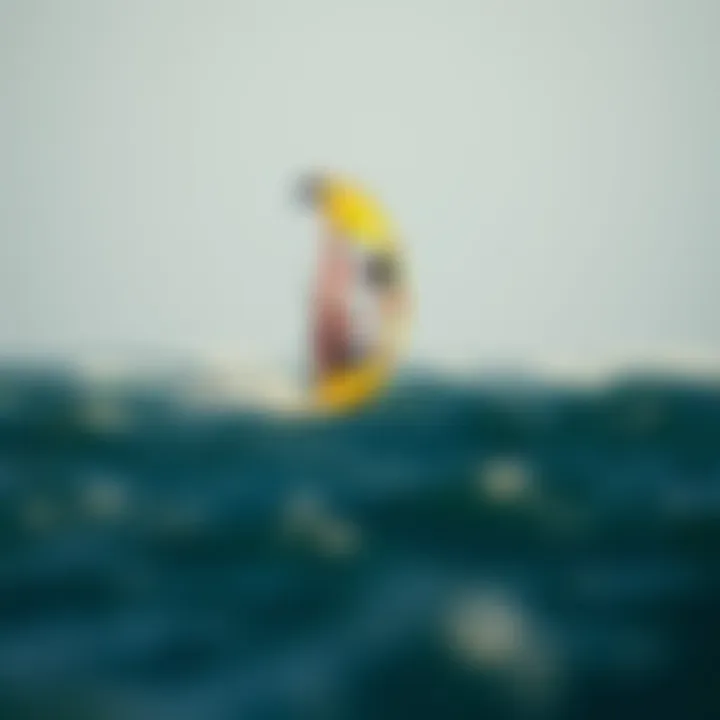 Naish foil kite in action over water