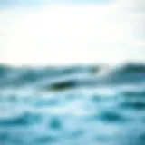 A sleek non-electric hydrofoil surfboard gliding above the water surface