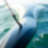 Close-up view of a duotone foilboard showcasing its sleek design