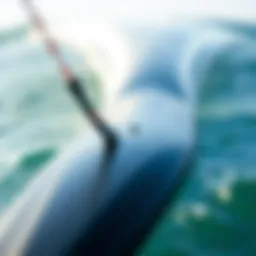 Close-up view of a duotone foilboard showcasing its sleek design