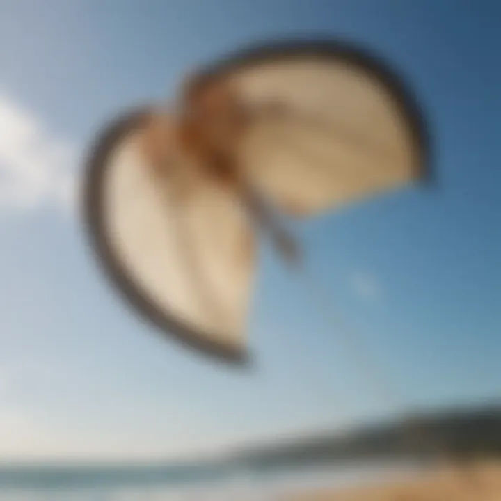 A detailed view of a pigtail kite showcasing its unique design features