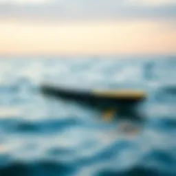 A hover paddle board gliding effortlessly above water, showcasing its unique design.