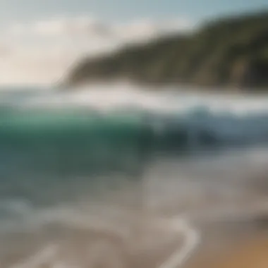 A group of surfers discussing wave conditions on the beach