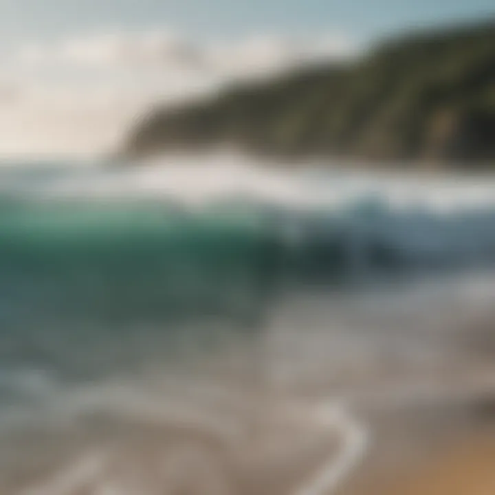 A group of surfers discussing wave conditions on the beach