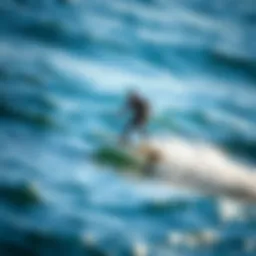 The sleek design of the Fliteboard eFoil in action above the water