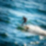 Experience the Aerodynamic Elegance of the Fliteboard eFoil The sleek design of the Fliteboard eFoil in action above the water