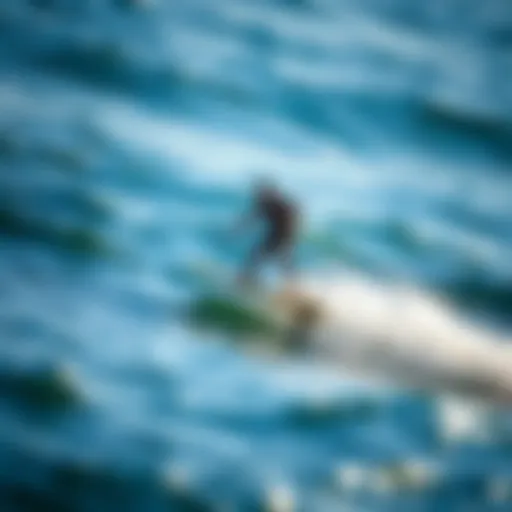 Experience the Aerodynamic Elegance of the Fliteboard eFoil The sleek design of the Fliteboard eFoil in action above the water