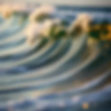 Tide Patterns on Florida Tides App Tide patterns displayed on the Florida Tides app