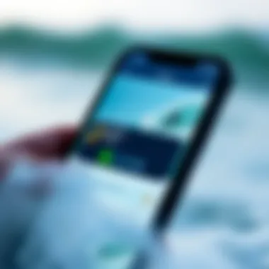User Interface of Florida Tides App User interface of the Florida Tides app on a smartphone