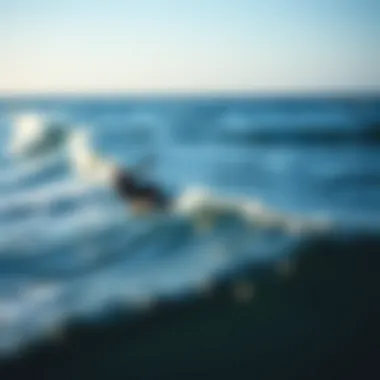 Temperature Variances in the Gulf Region Temperature variances displayed on a weather map