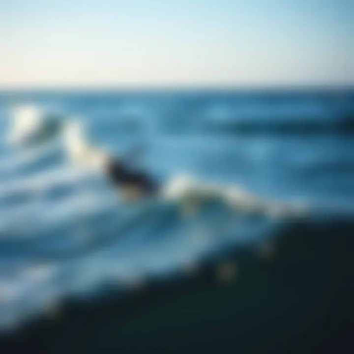 Temperature Variances in the Gulf Region Temperature variances displayed on a weather map