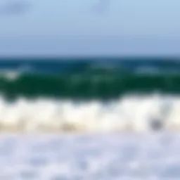 A detailed diagram showing wind patterns in the Gulf of Mexico