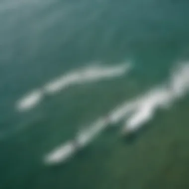 An aerial view of kiteboarders enjoying a sunny day on the water